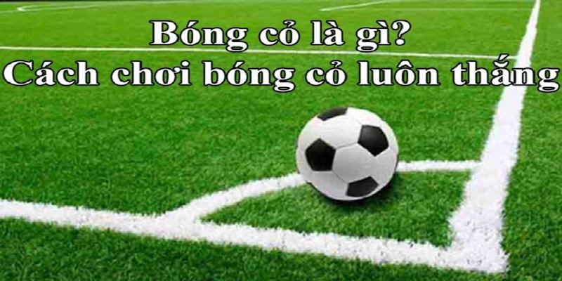 Học hỏi kinh nghiệm chơi bóng cỏ là gì để tăng xác suất chiến thắng